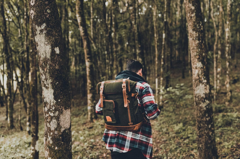 wilderness